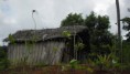 /album/galerie-de-photos-lhabitat-mahorais/vues-dans-la-reserve-forestire-de-majimbini-6-banga-le-choc-des-cultures-jpg/